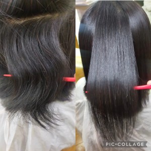 Collage_2025-04-08_09_17_44