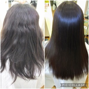 Collage 2022-06-20 05_20_44